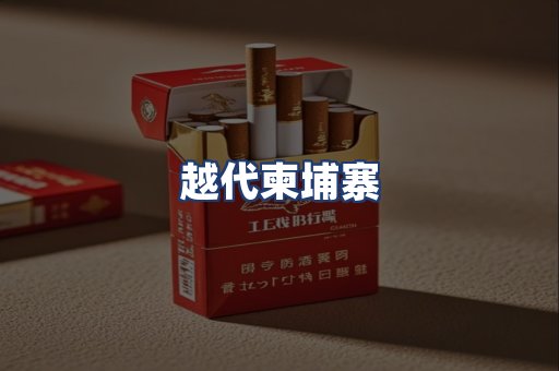 越代柬埔寨